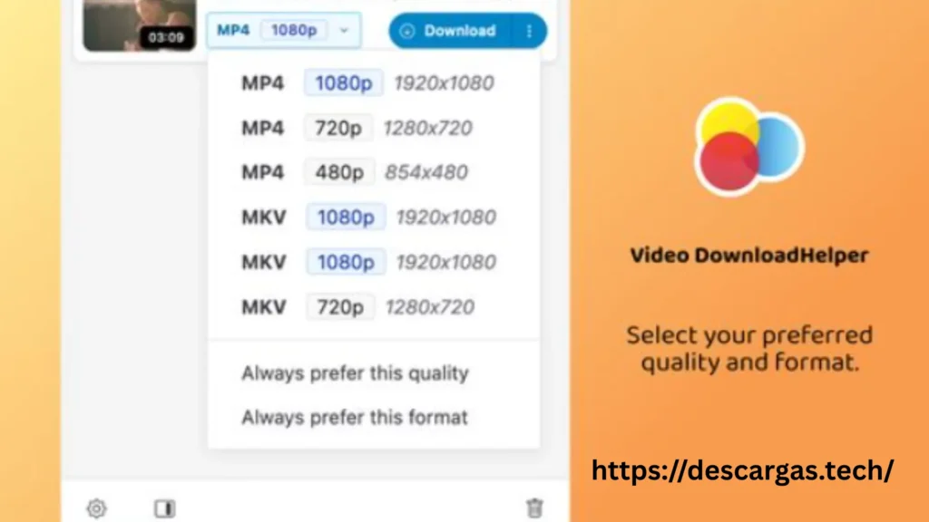 Video DownloadHelper 